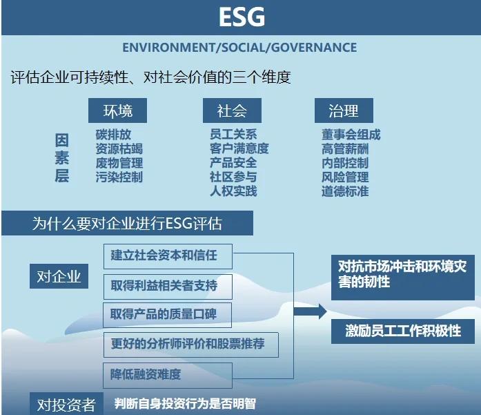 双碳战略咨询服务(双碳战略是什么意思)洛阳市